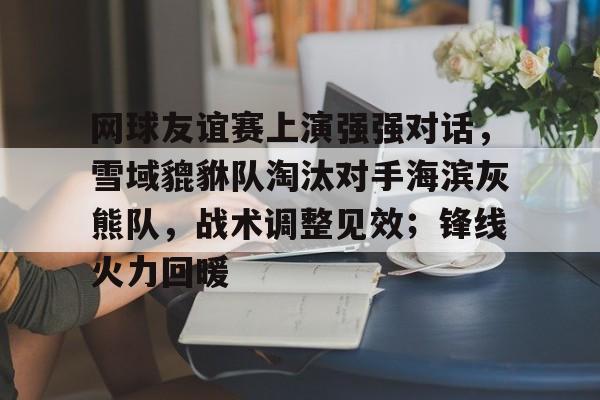 爱游戏-关于网球友谊赛上演强强对话，雪域貔貅队淘汰对手海滨灰熊队，战术调整见效；锋线火力回暖的信息